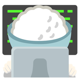 Laptop and Cooked rice