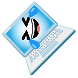 Laptop and Rolling on the floor laughing