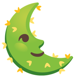 last quarter moon face and cactus