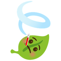 leaf fluttering in wind and face with thermometer