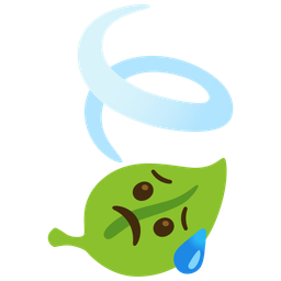 leaf fluttering in wind and sad but relieved face