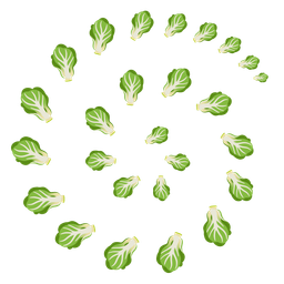 leafy green and cyclone