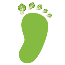 leafy green and footprints