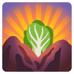 leafy green and sunrise over mountains