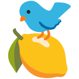 lemon and bird