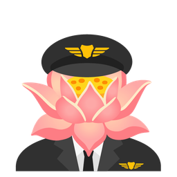 lotus and airplane