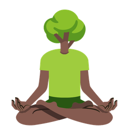 lotus and deciduous tree