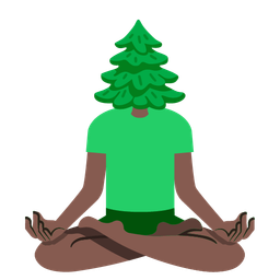 lotus and evergreen tree