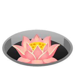 lotus and hole