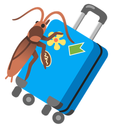 luggage and cockroach