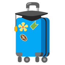 luggage and graduation cap