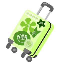 luggage and green salad