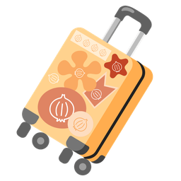 luggage and onion