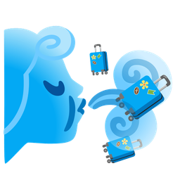 luggage and wind face