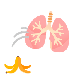 lungs and banana