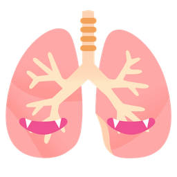 lungs and bat