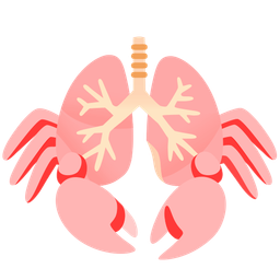 lungs and crab