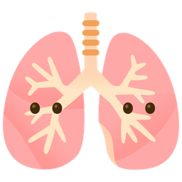 lungs and face without mouth