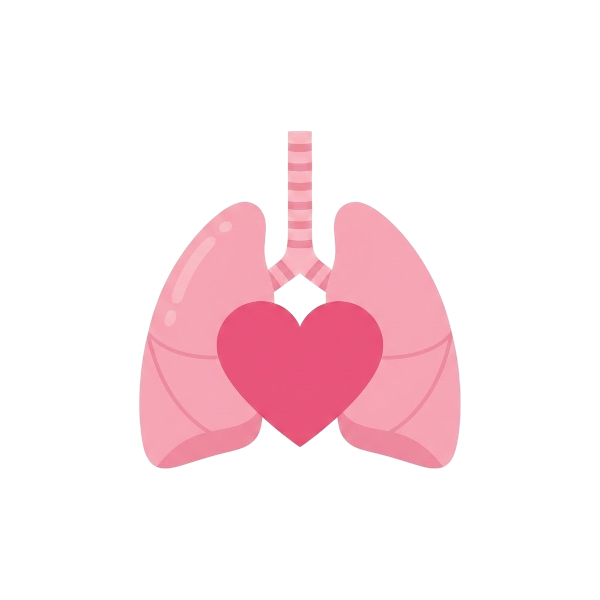 Lungs and Pink heart