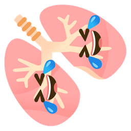 Lungs and Rolling on the floor laughing