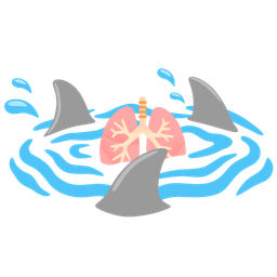 lungs and shark