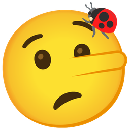 lying face and lady beetle