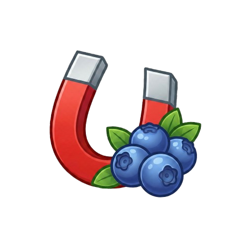 Magnet and Blueberries