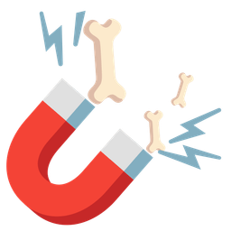 Magnet and Bone