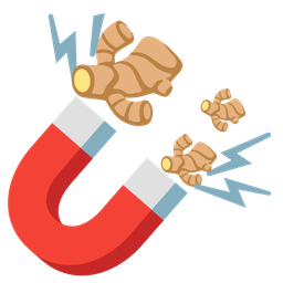 Magnet and Ginger root