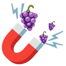 Magnet and Grapes