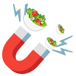 Magnet and Green salad