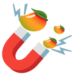 Magnet and Mango