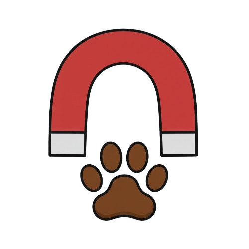 Magnet and Paw prints