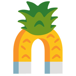 Magnet and Pineapple