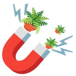 Magnet and Potted plant