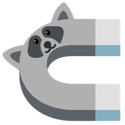 Magnet and Raccoon