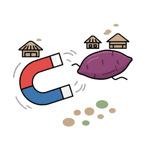 Magnet and Roasted sweet potato