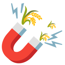 Magnet and Sheaf of rice