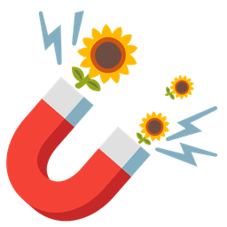 Magnet and Sunflower