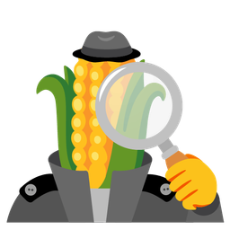 magnifying glass tilted right and ear of corn