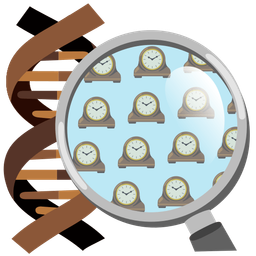 mantelpiece clock and dna