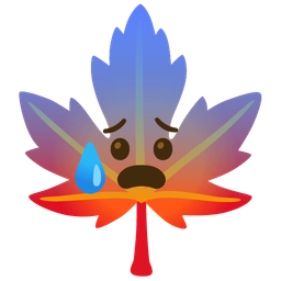 maple leaf and anxious face with sweat