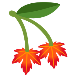maple leaf and cherries