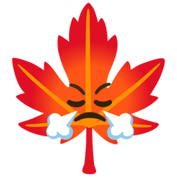 maple leaf and face with steam from nose