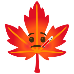 maple leaf and face with thermometer