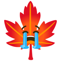 maple leaf and loudly crying face
