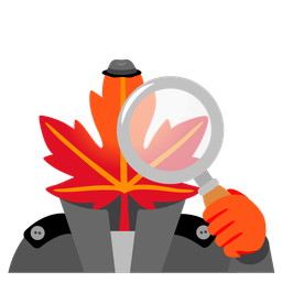 maple leaf and magnifying glass tilted right