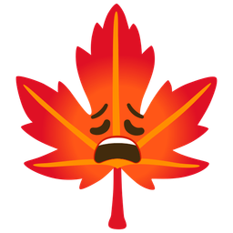 maple leaf and weary face