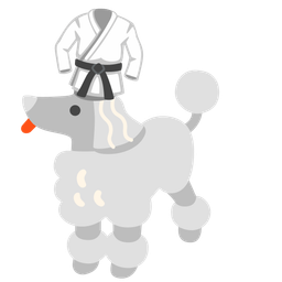 martial arts uniform and poodle