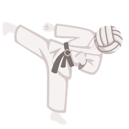 martial arts uniform and volleyball